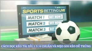 Cách Đọc Kèo Tài Xỉu 1 3/4 Chuẩn Và Mẹo Soi Kèo Dễ Trúng