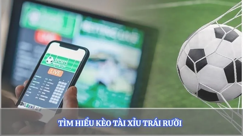 Tìm hiểu kèo tài xỉu trái rưỡi  